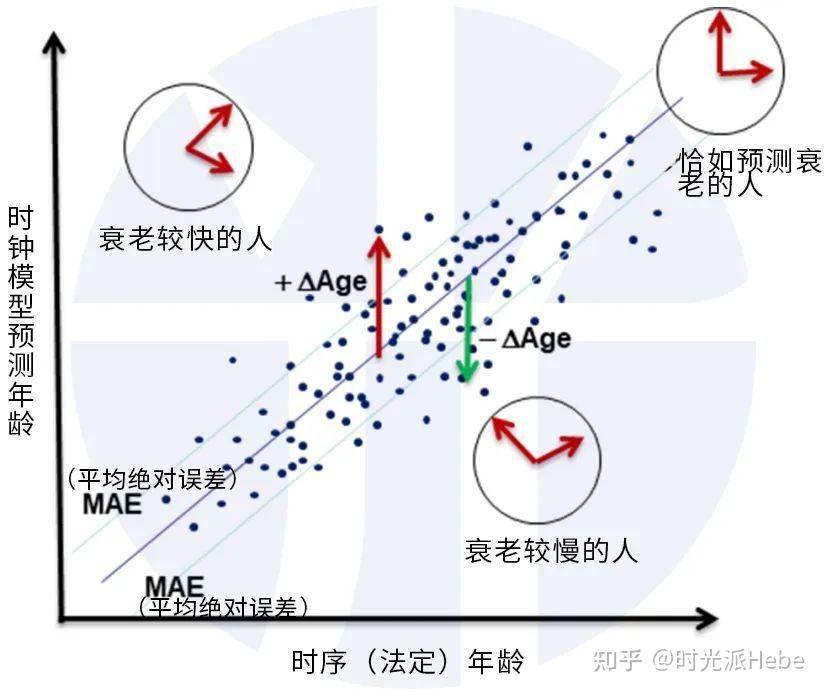 34、60和78岁衰老节点?北大韩敬东教授:身体处处挂时钟、显衰老 - 知乎
