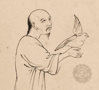 超人神仙杨禄禅们