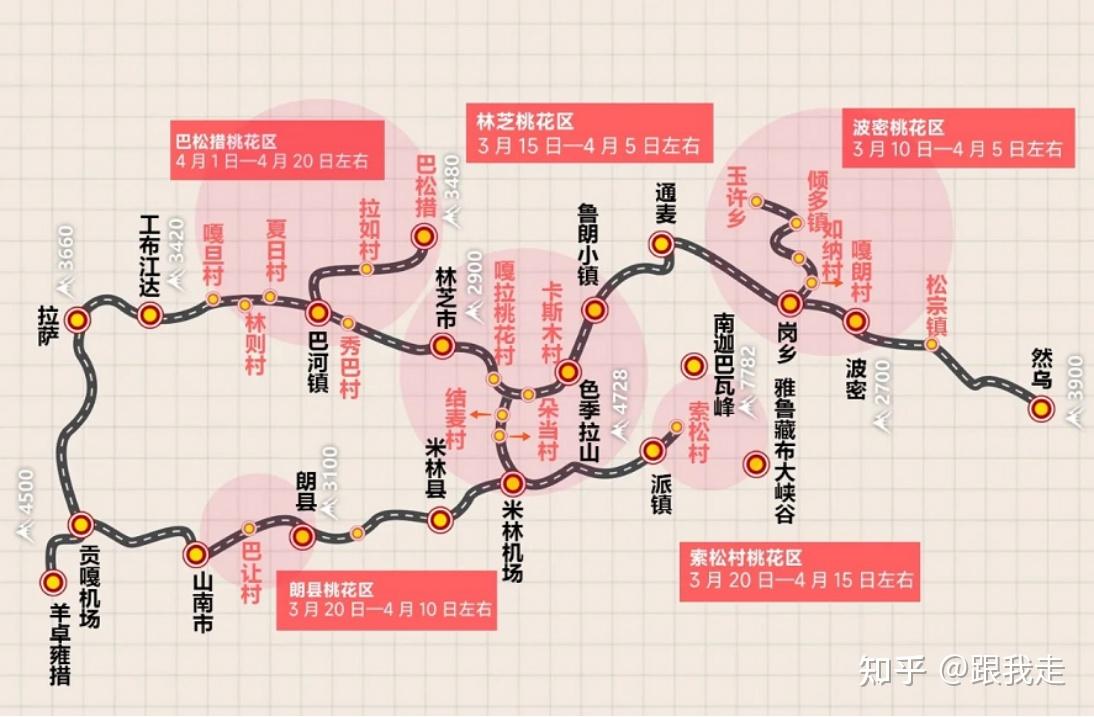 林芝公交线路图图片