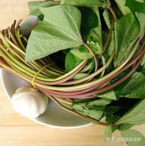 红薯叶有什么食用功效?