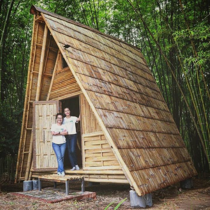 全球竹景观建筑案例 生态竹建筑 竹亭 竹廊(设计+建造)境道原竹 - 知乎