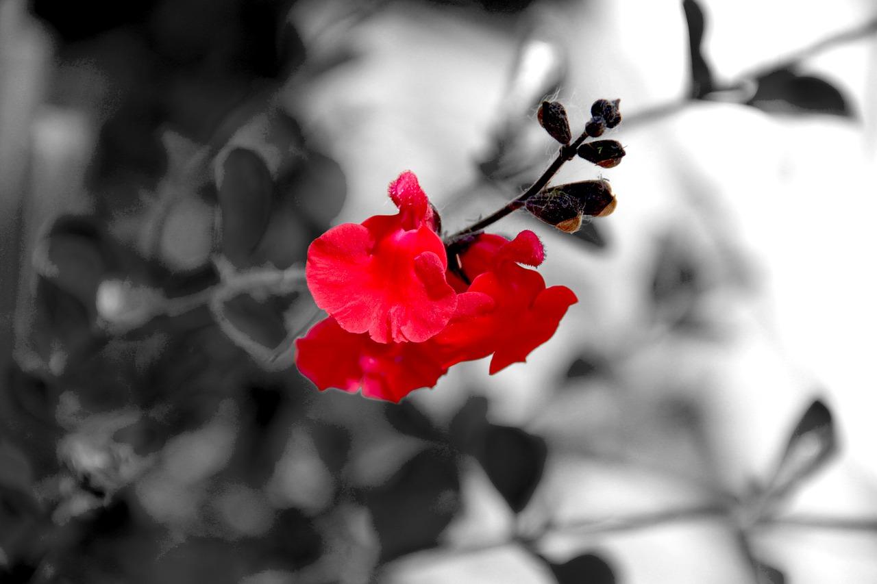 2. 管材一米价格