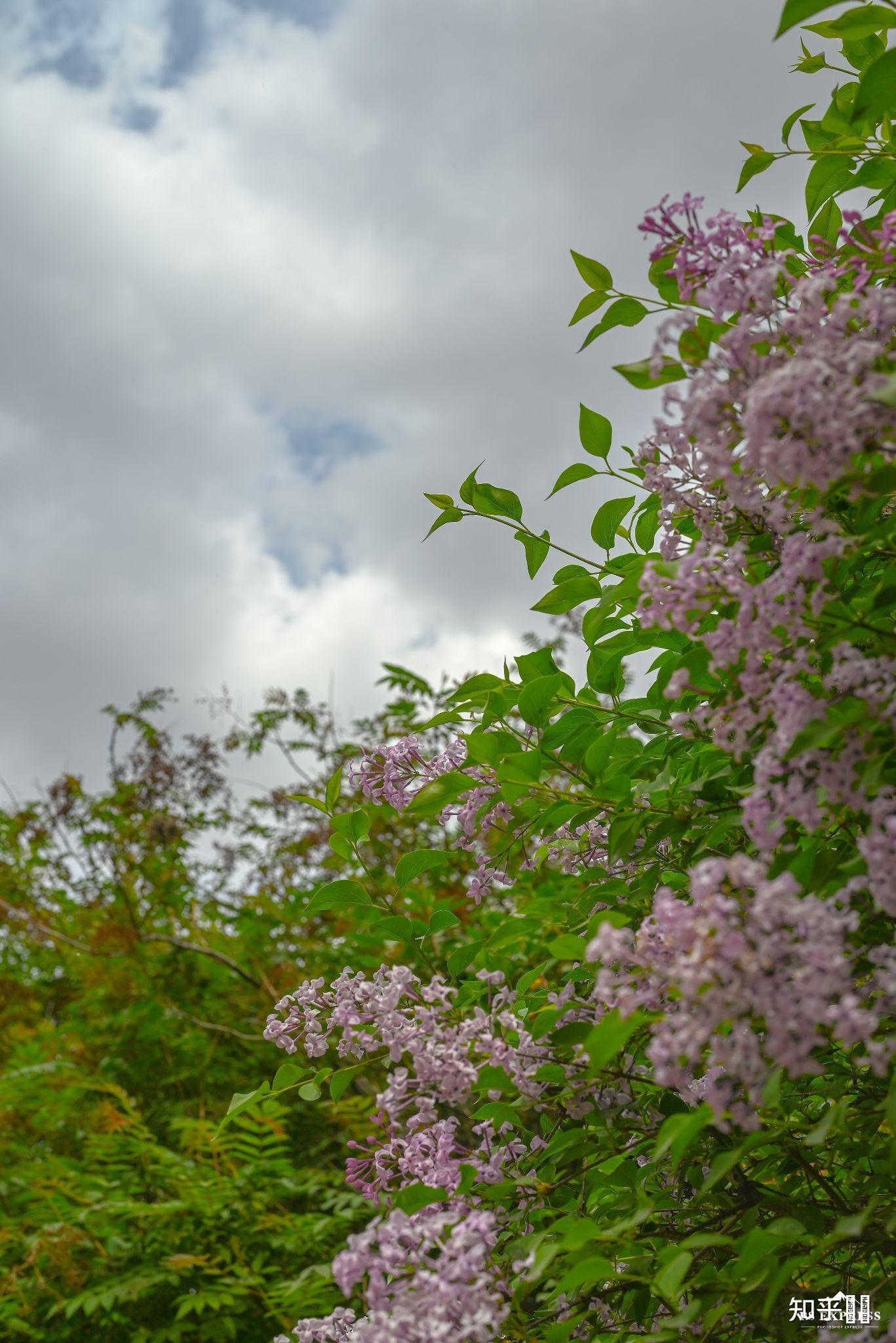 用50mm定焦镜头能拍出好看的风景图片吗