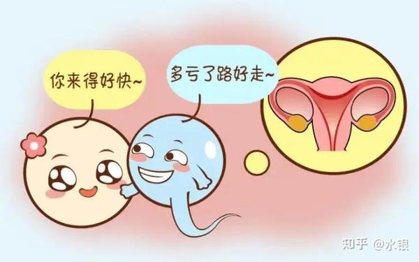 冷冻胚胎时间长短,是否会影响怀孕成功率? - 知乎