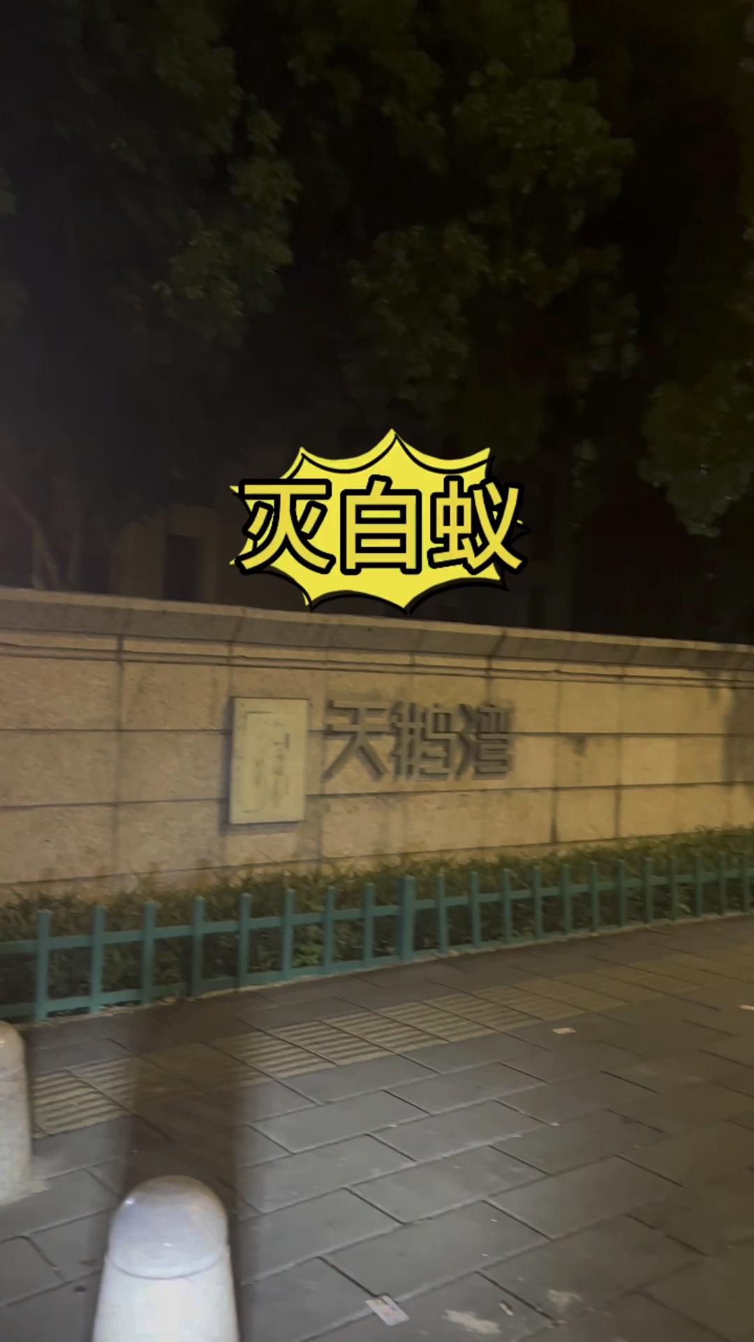 福州金辉天鹅湾灭白蚁家庭灭白蚁