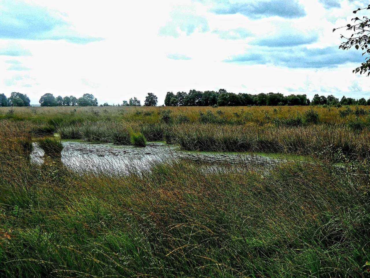 4. 环保材料选材