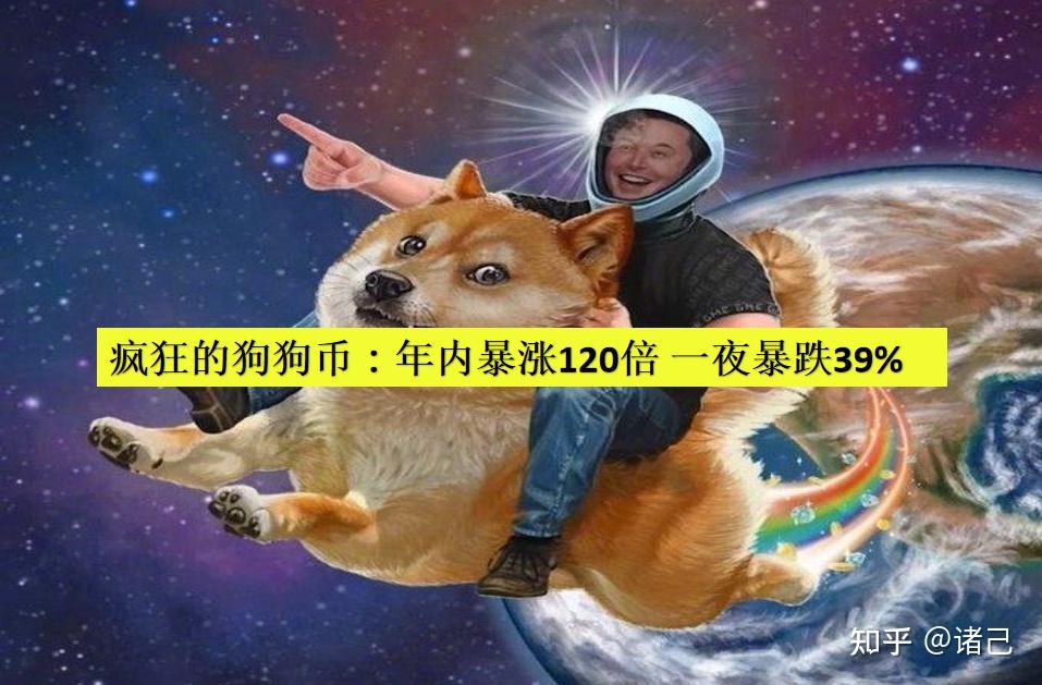 疯狂的狗狗币年内暴涨120倍一夜暴跌39