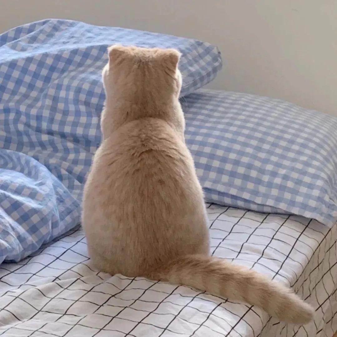 130张超好看的微信头像-好看微信头像男2021