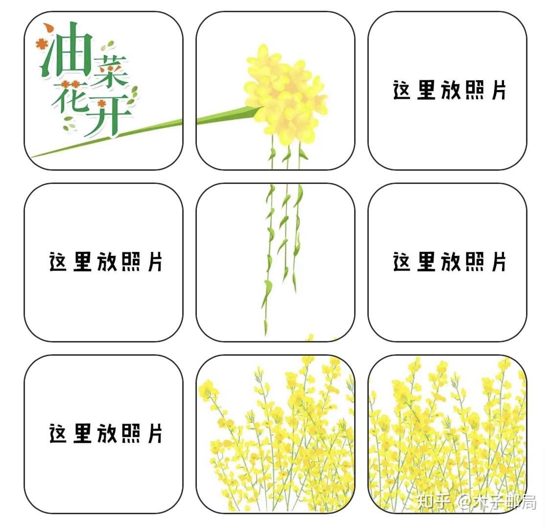 春天四月赏油菜花的文案和九宫格配图请签收