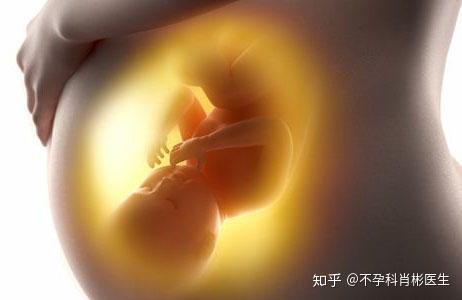 子宫前位与子宫后位 教你如何分清 知乎