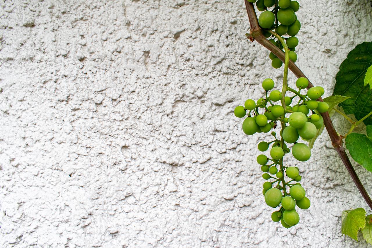 4. 壁纸耐用性分析