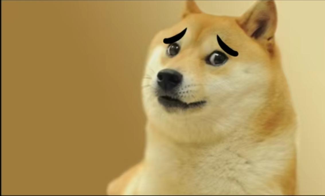 有没有狗狗的表情包!就是一只眉毛很粗的!