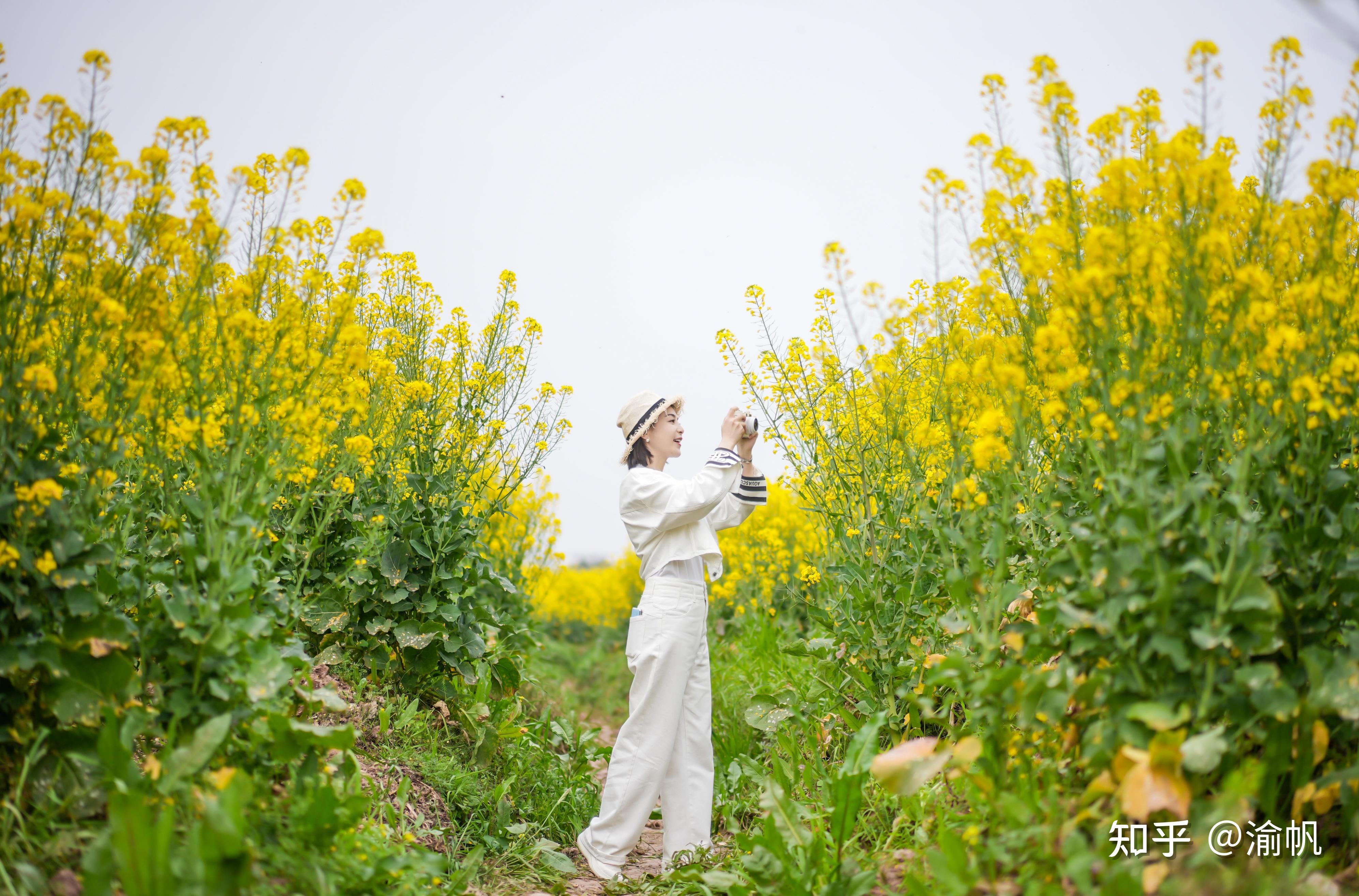朝流花海可盐可甜解锁潼南油菜花海拍照打卡10大新机位