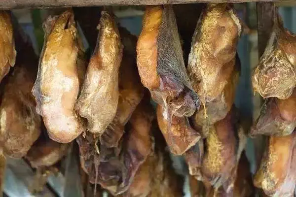 格陵兰06腌海雀