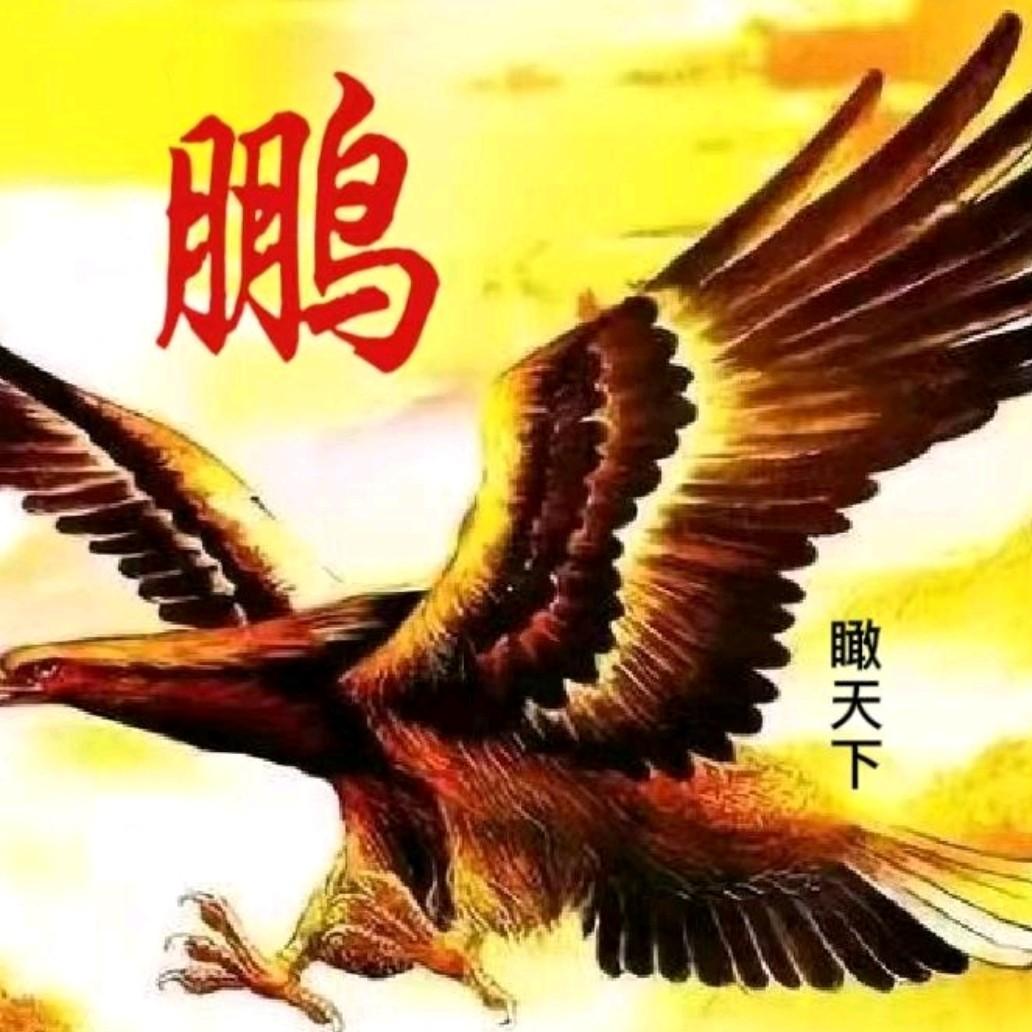 鹏瞰天下