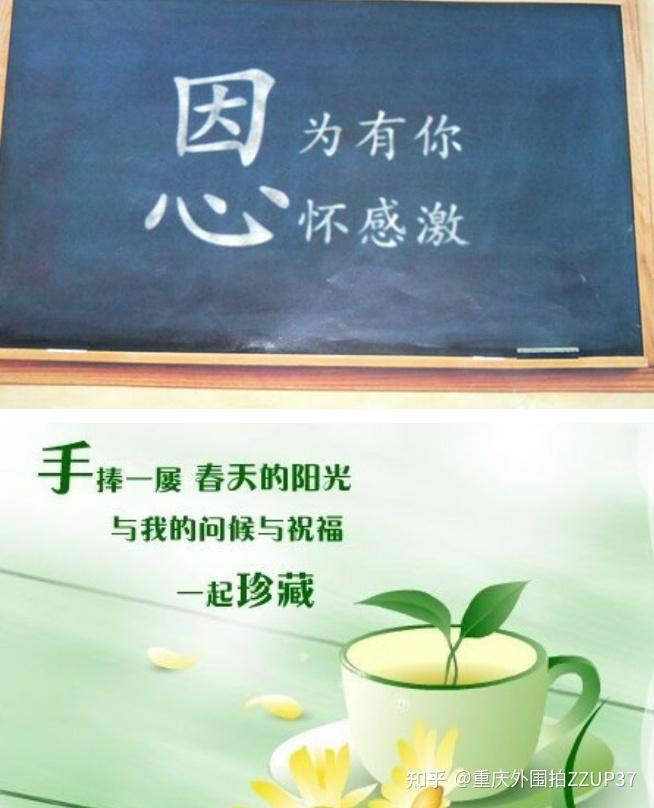 学会感恩图片带字图片