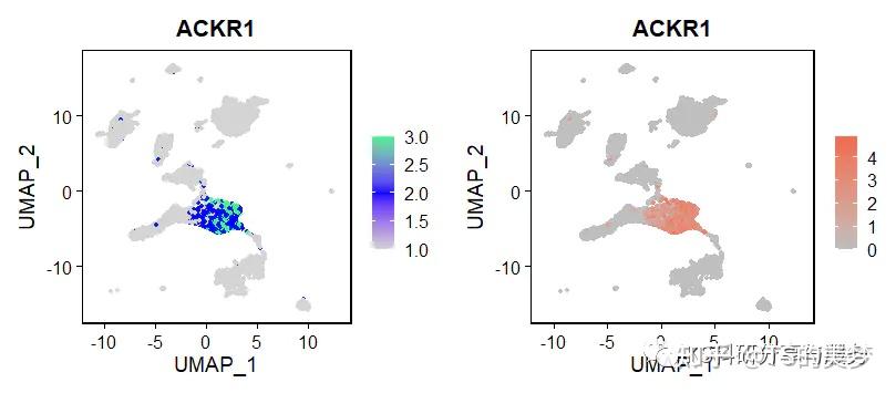 单细胞基因可视化之UMAP图修饰 - 知乎