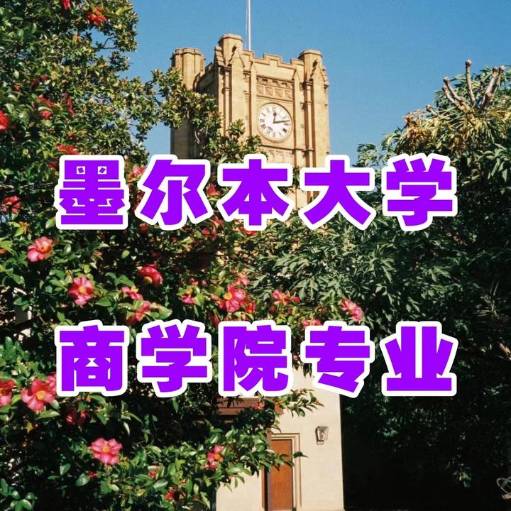 墨大商学院有些什么专业?申请要求是? - 知乎