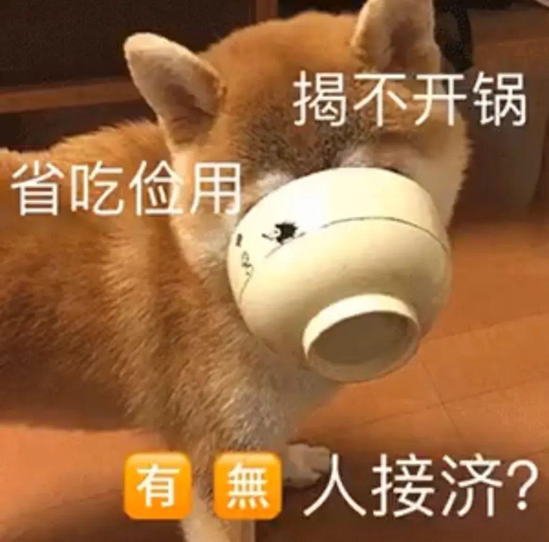 千山万水总是情.转发点赞行不行?