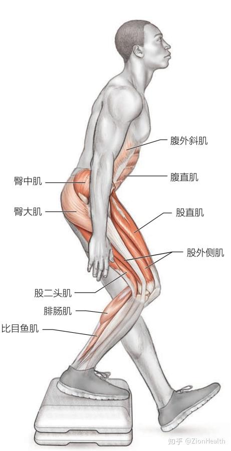 67关注跳跃膝的恢复性练习 瑜伽垫边缘行走 主要训练肌群:腓肠肌