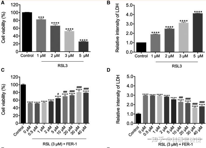 文献五:kung ya, chiang hj, li ml, gong yn, chiu hp, hung ct