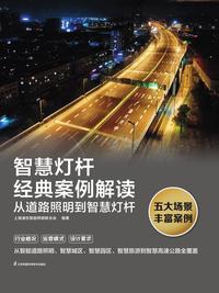 智慧灯杆经典案例解读：从道路照明到智慧灯杆