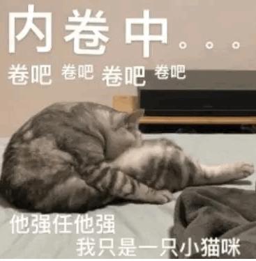 卷起来，大家一起卷起来，一组内卷表情包 - 知乎