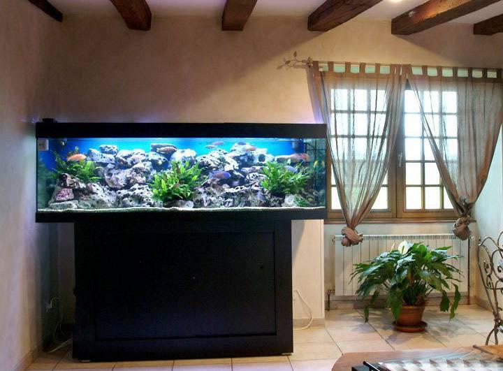 v2-8870dafd274eef6bb5f9b06bb6b75eb5_1440w.jpg?source=172ae18b