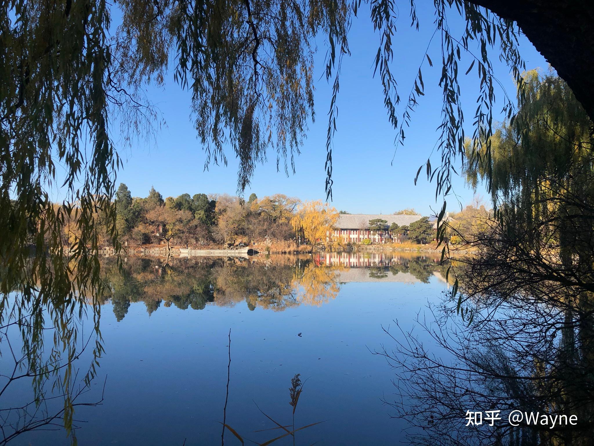 【北大药学院研一在读】北京大学349药学考研全貌:报考前你需要知道的