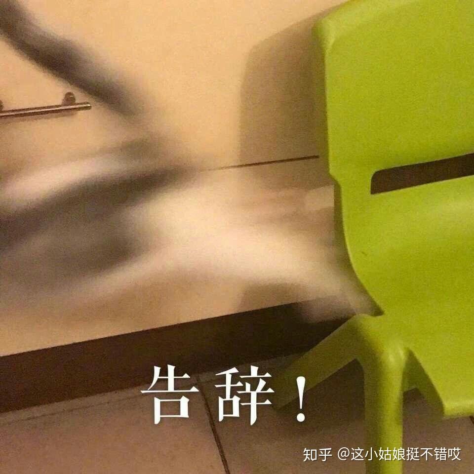 你都存了哪些沙雕表情包