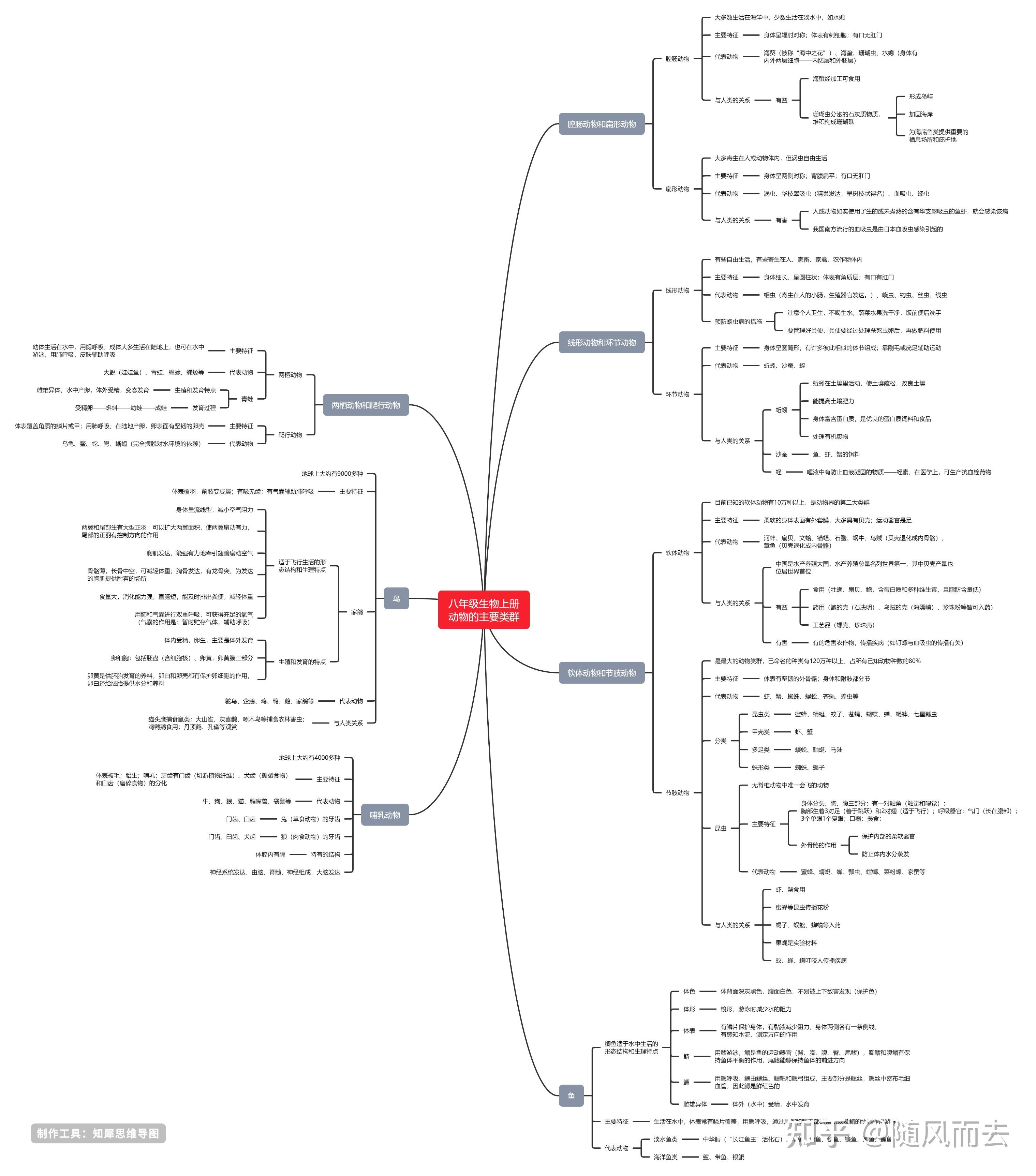 知乎@知犀思维导图图片