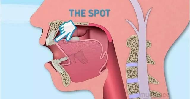 舌头顶硬腭图片