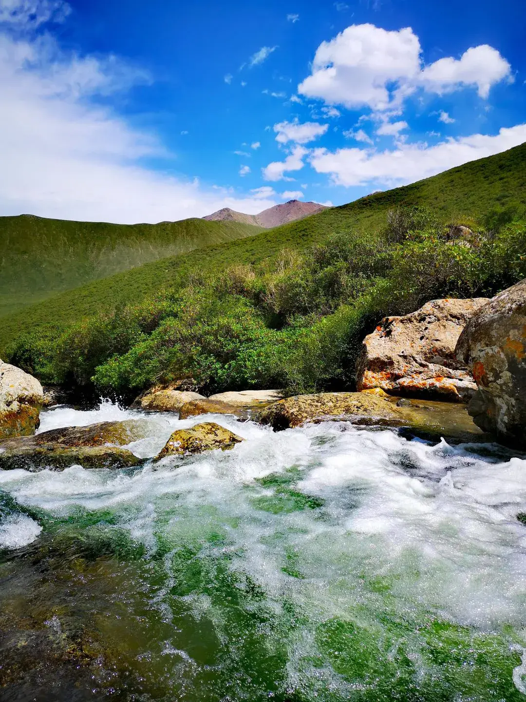 热热热来冰沟河景区带你避开盛夏的第一波热潮