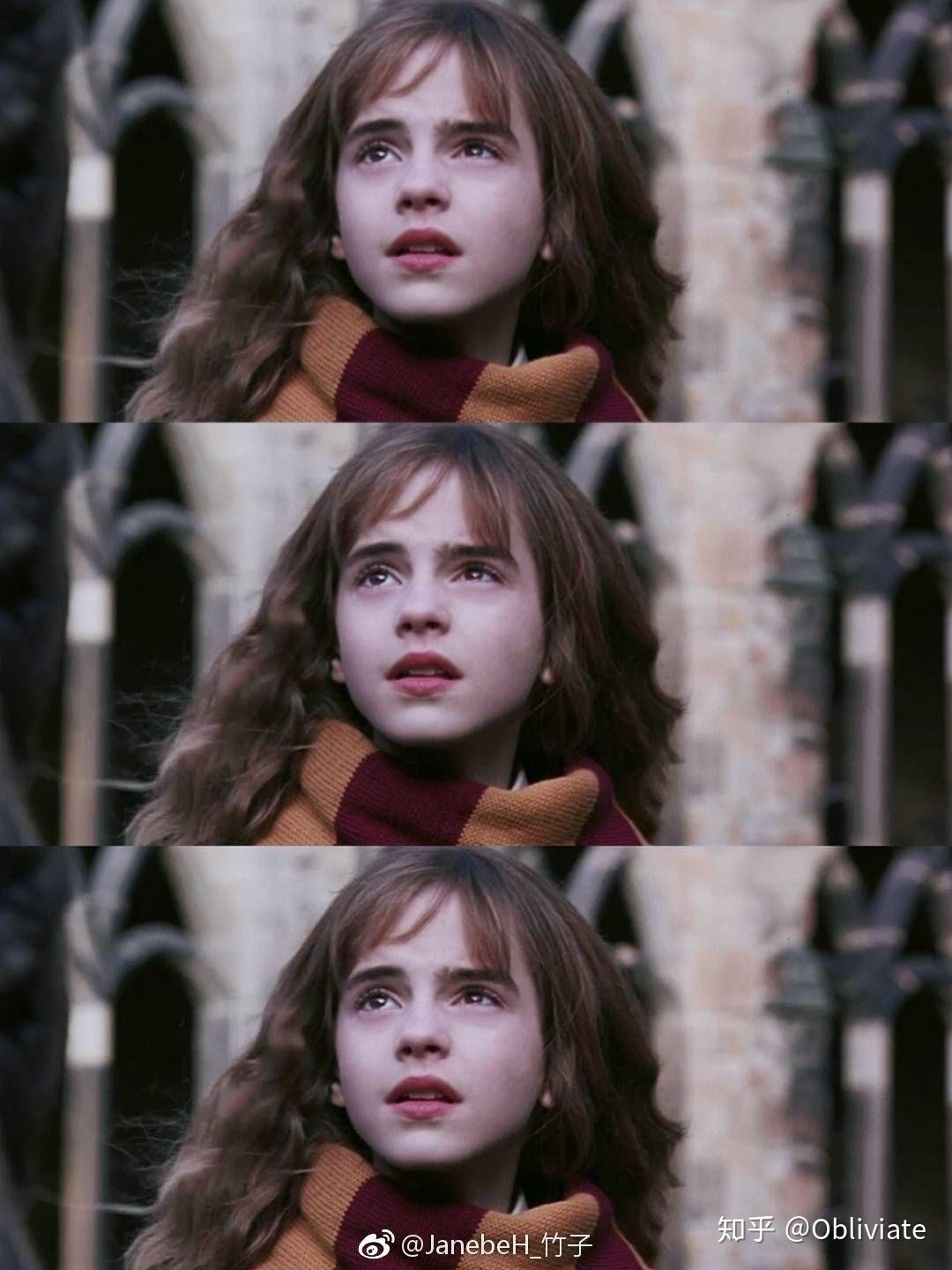 有没有高清哈利波特图片高清电脑或者手机壁纸特别是赫敏的