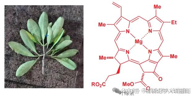 有机化学中的诱导效应和共轭效应 - 知乎