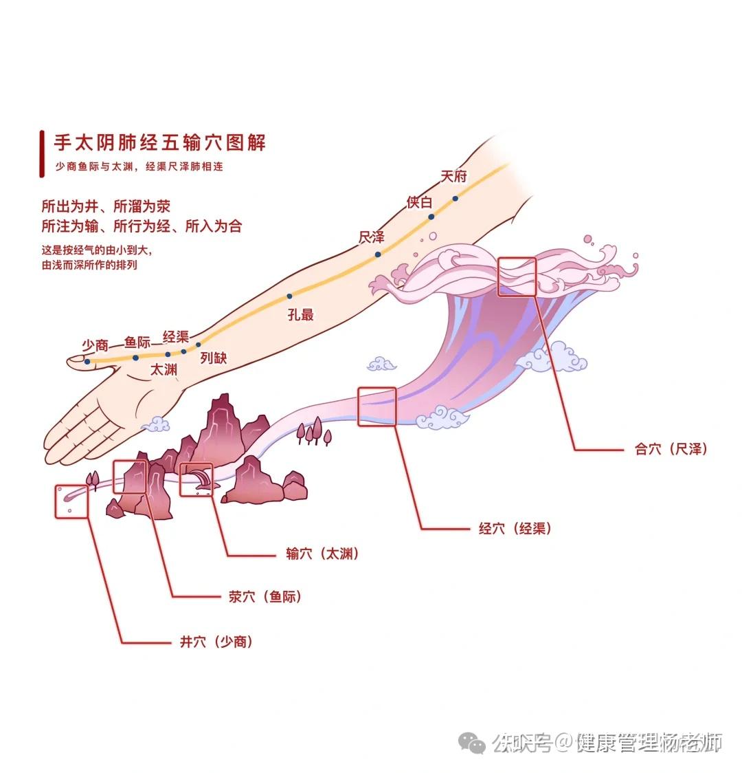 中医特定穴五输穴-巧记歌诀-附唯美插图 - 知乎