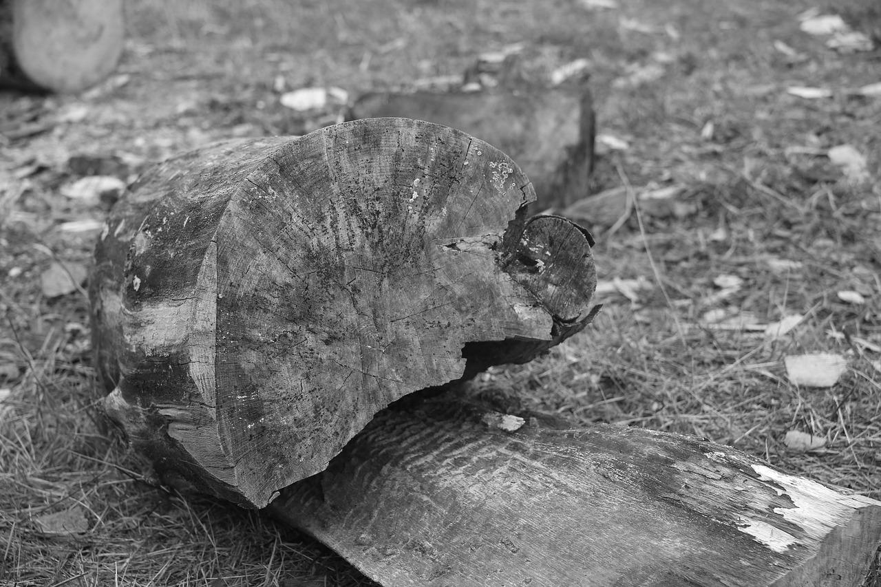 2. 鸡尾木家具优势