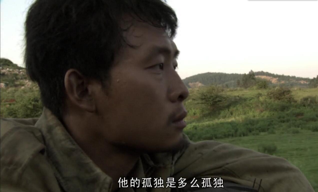 如何评价我的团长我的团中的龙文章