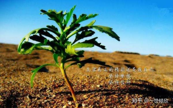 做真实的自己 - 知乎