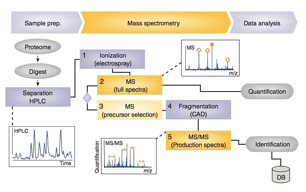 SWATHMS DIA与无标定量蛋白质组学迷局 知乎