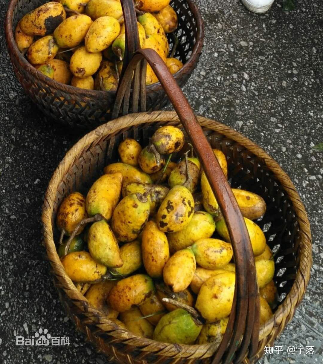 如何看待黑龙江夫妇偷拿广西村民香蕉事件?