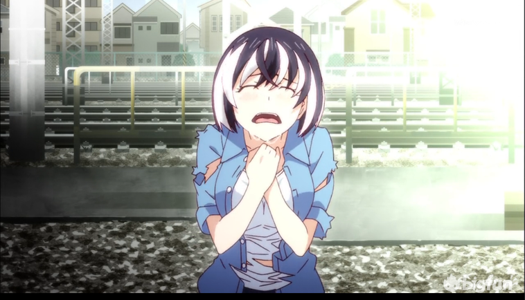 《猫物语·黑/白》&【羽川翼】——欲望,爱恋,孤独「真物」的挣扎