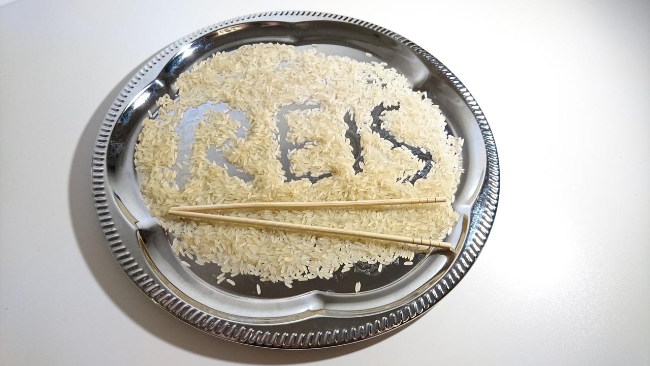 科学精神：袁隆平的探索路