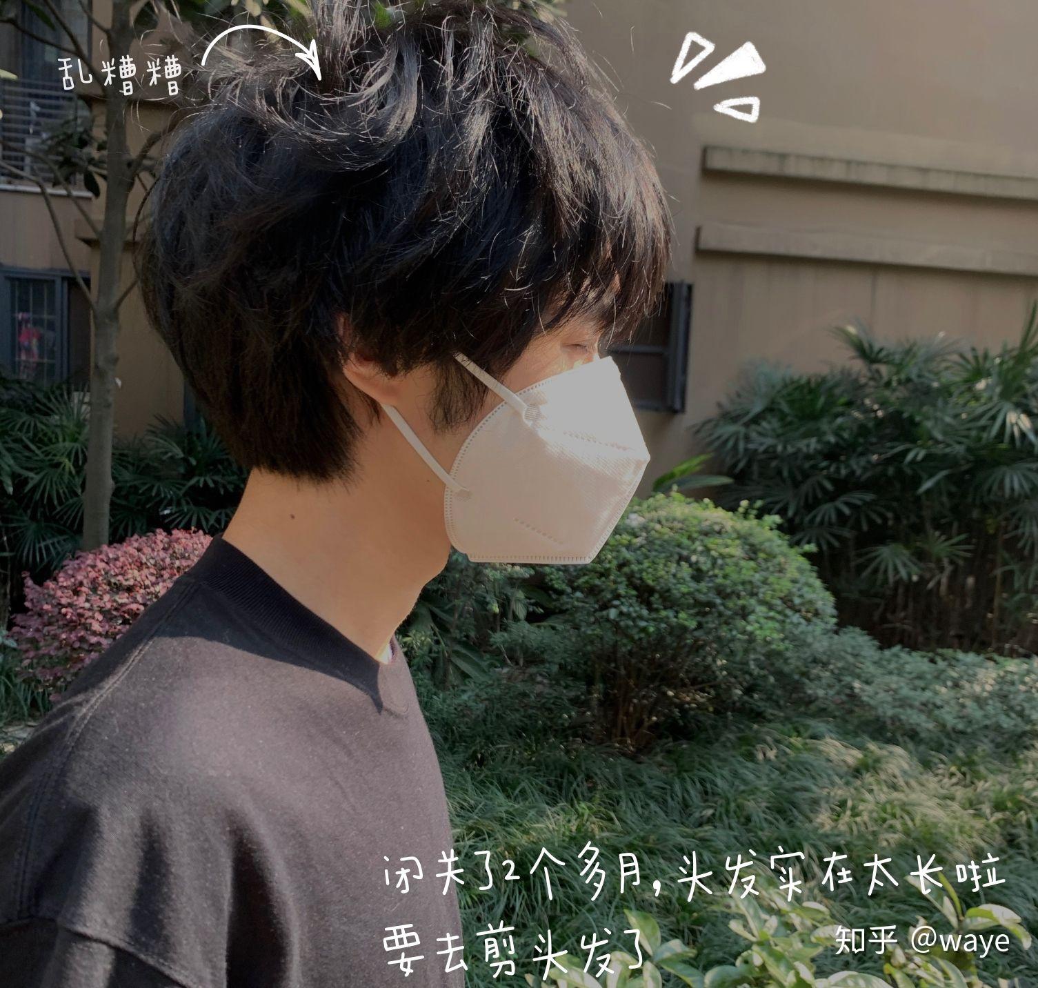 电鸟个灯泡长什么样