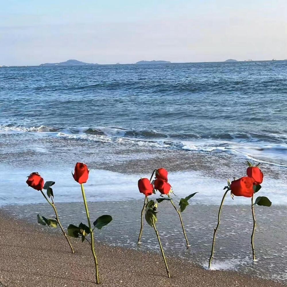 有啥适合女生用作头像的风景图? - 知乎