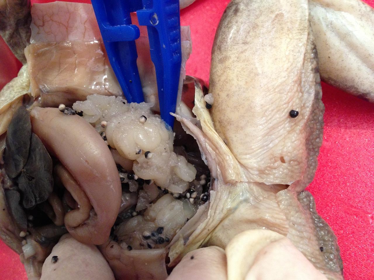 结构夹层什么意思