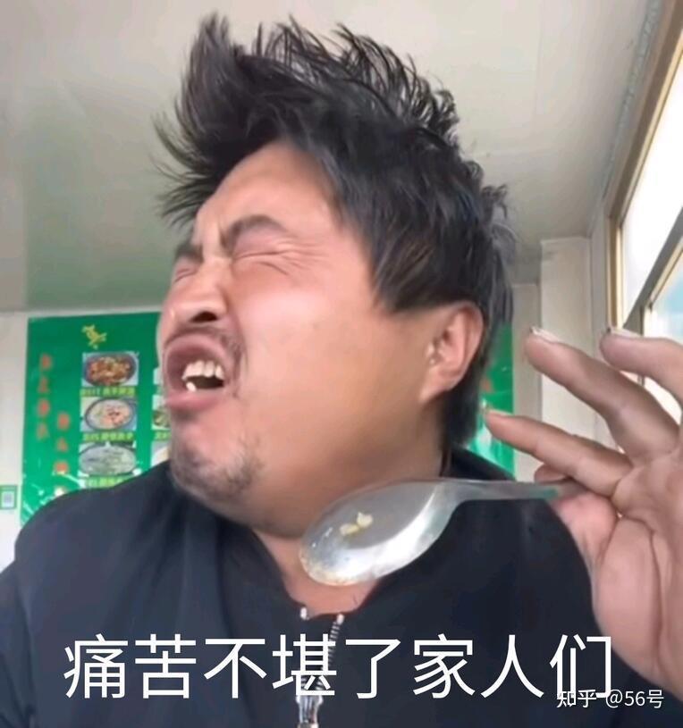 龙丽表情包 - 知乎