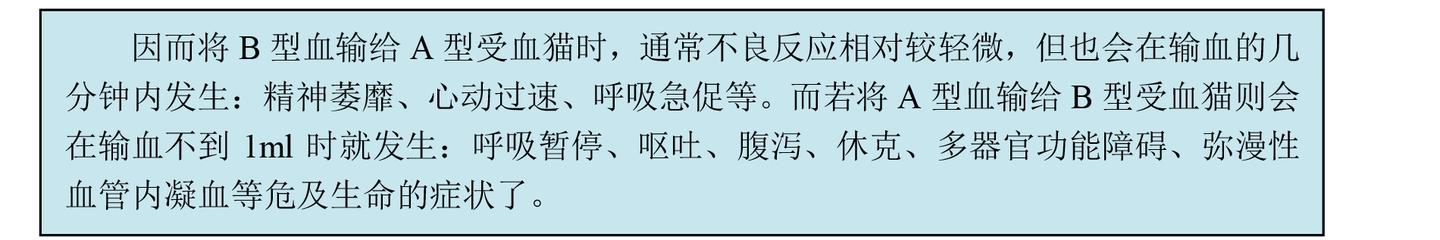 猫咪微科普——猫咪输血与献血 - 知乎