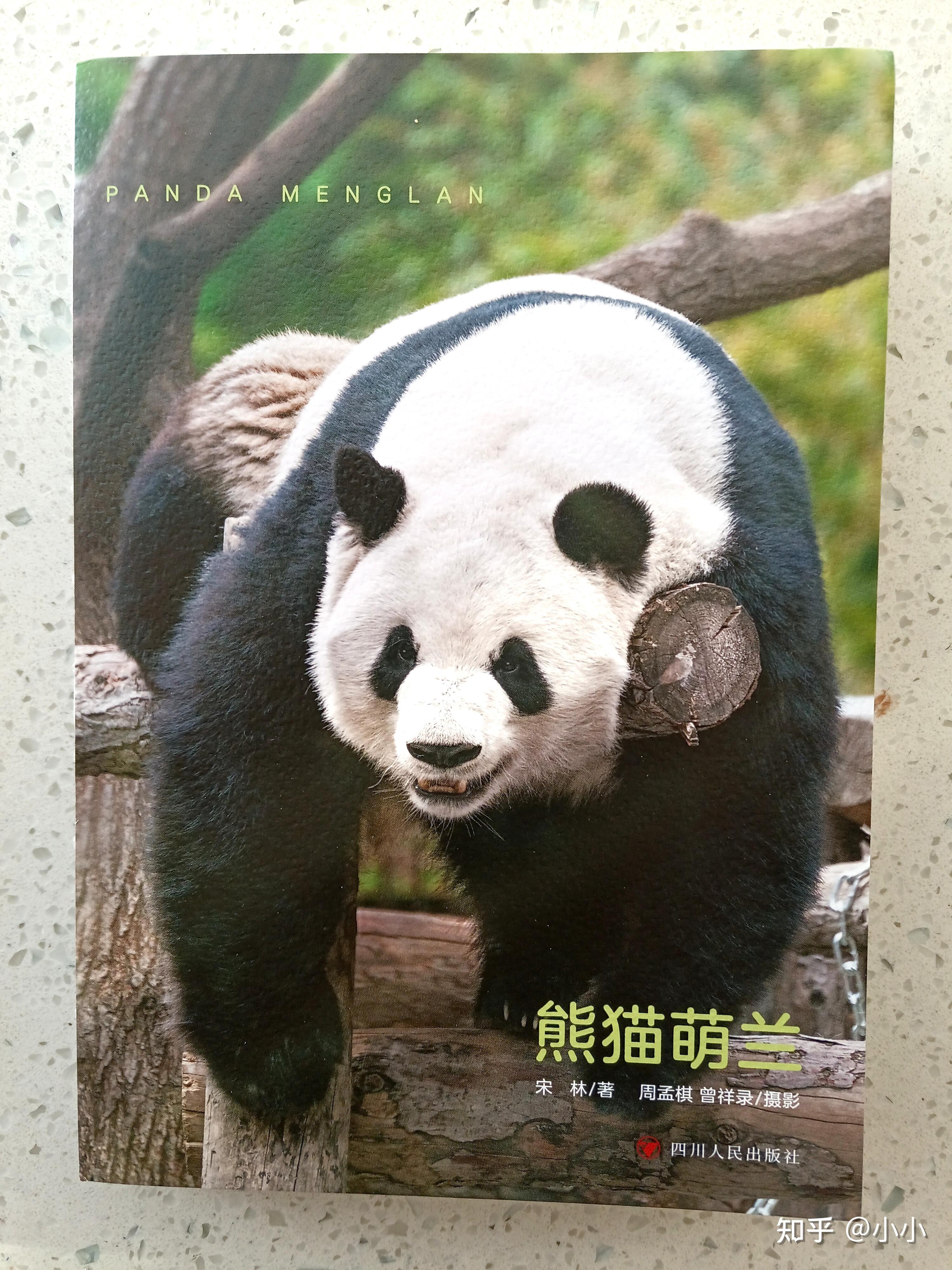 为什么熊猫受欢迎 为什么熊猫受欢迎