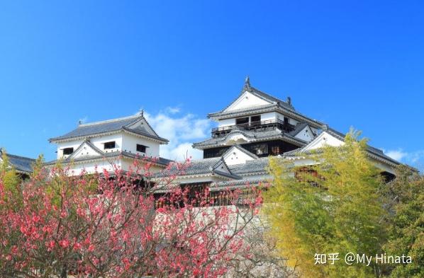 为啥叫爱媛县 v2-89242ba8adc2be26670c98c9a31a9700_r.jpg